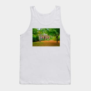 House on Bayfield Main Street Tank Top